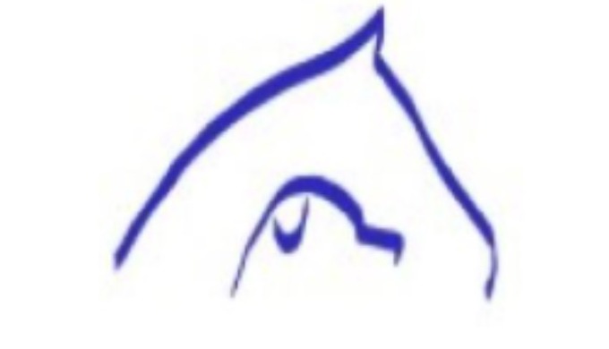 Holistic Vet, Homeopathic Vet, Vets in Ashford