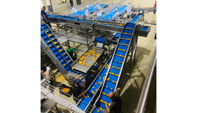 Fruit and vegetable canning plant