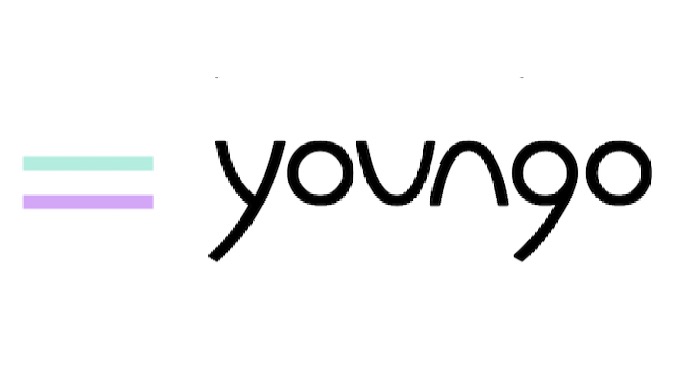 Youngo vous accompagne dans votre transport de marchandises sur le dernier kilomètre partout en Ile ...
