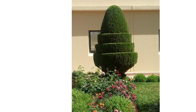 Les prestations proposées en matière d’entretien de jardins sont variées : Nettoyage et Évacuation d...