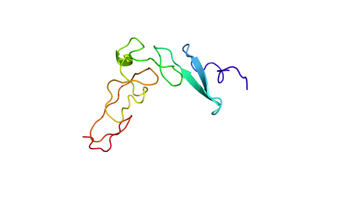 Trade name: ESVINCI name: sh-Oilgopeptide-1 Alanyl SF Spider Oligopeptide1Feature of ingredientRecom...