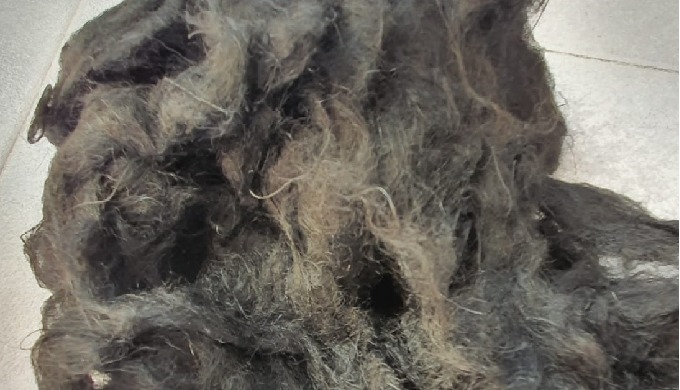 FIBRAS RECICLADAS DE POLIÉSTER NEGRO