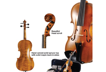 VIOLIN