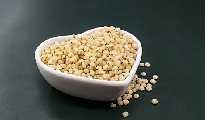 Exports of millets have been steadily increasing, driven by rising global demand for healthy and nut...