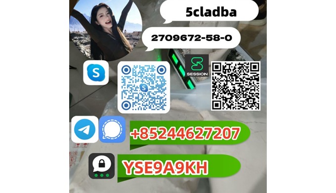 Please contact: Name:Jessica Telegram/Signal： +85244627207 Threema: YSE9A9KH Skype: live:.cid.a0f709...