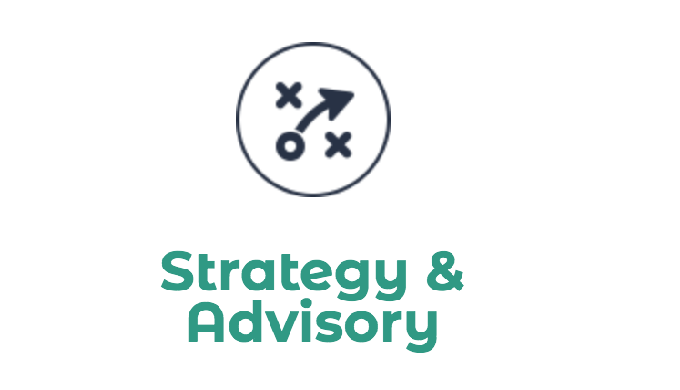 ED, SD and PP pillar analysis Strategy review and formulation Operating model design Core business a...