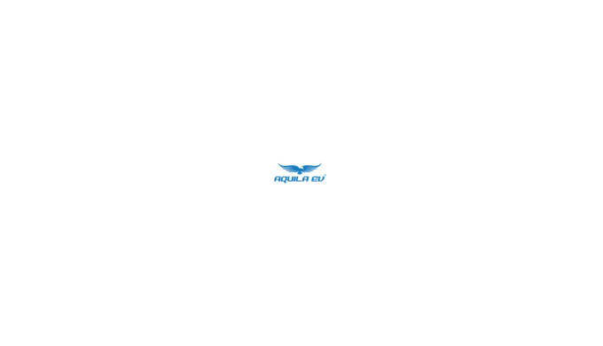 rielectric India Pvt. Ltd. is a leading manufacturer of golf carts and utility electric vehicles in ...