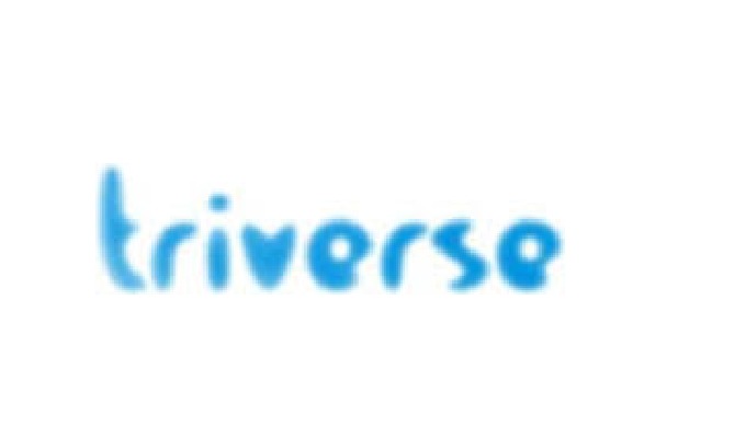 Triverse Advertising offers search engine and user friendly website design and creative brand promot...