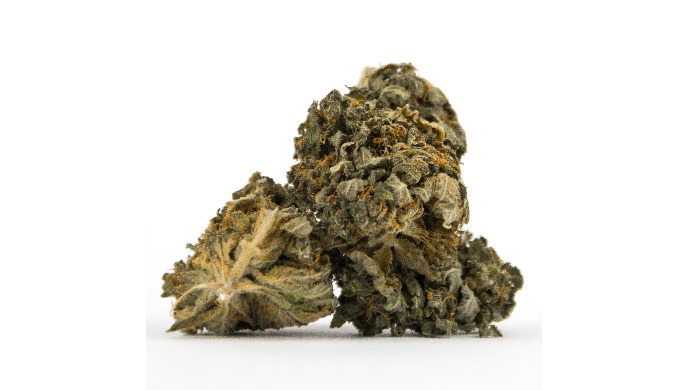 Steirernugget „Fruit Punch“ Hanfbl ü ten mit 4% CBD/CBDA Gehalt Die CBD Blü...