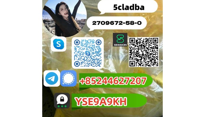 Please contact: Name:Jessica Telegram/Signal： +85244627207 Threema: YSE9A9KH Skype: live:.cid.a0f709...