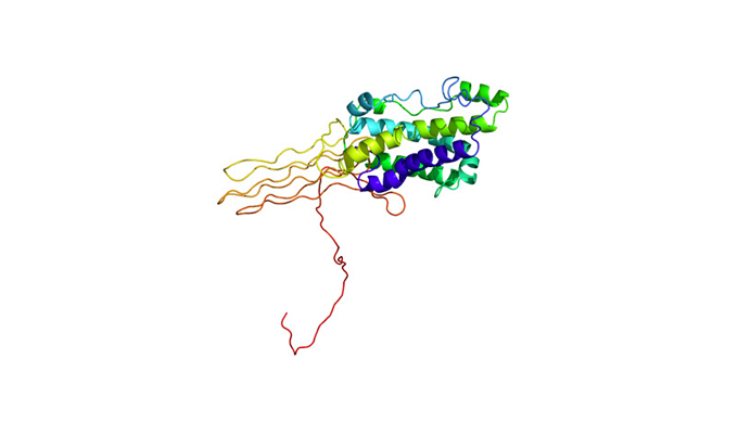 Trade name: GSINCI name: Methionyl sh-Polypeptide-7 Dipeptide-19 sr-Spider Polypeptide-4 Hexapeptide...