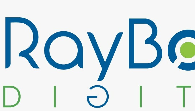RayBotix is a new but one of the most trending and reliable web design companies in Ahmedabad that h...