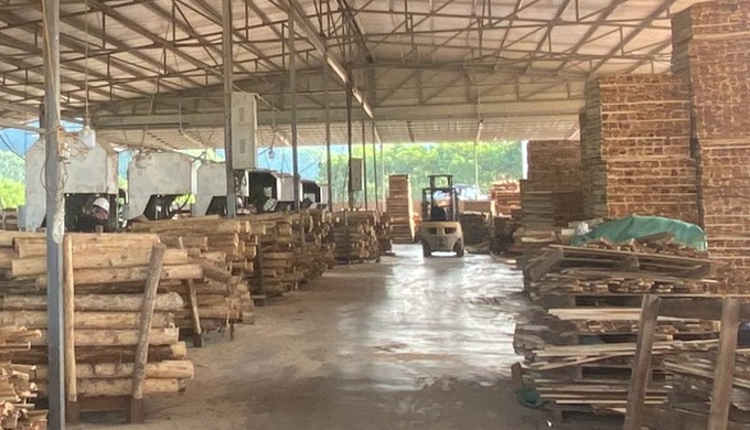 Better Vietnam Co., Ltd is a well-known enterprise exporting Acacia wood an and pine wood It was fou...