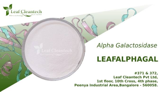 LEAFALPHAGAL Alpha-galactosidase breaks down complex carbohydrates, specifically sugars like raffino...