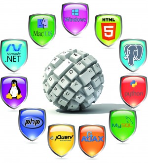 ISSCO ofera consultanta software, dezvoltare de aplicatii personalizate, servicii de testare si asig...