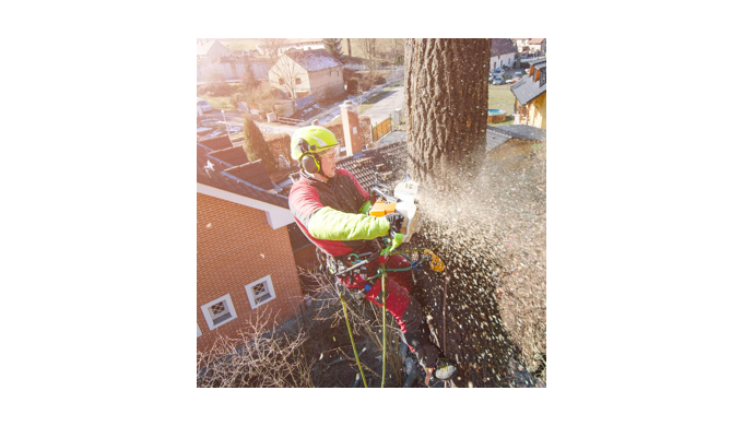 Welcome to Coventry Tree Services! We're excited to introduce ourselves as your go-to destination fo...