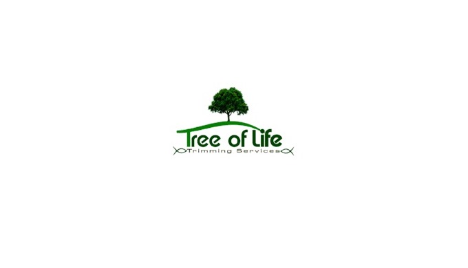 Tree Removal Tree Trimming Stump Grinding Snow Removal Property Maintenance
