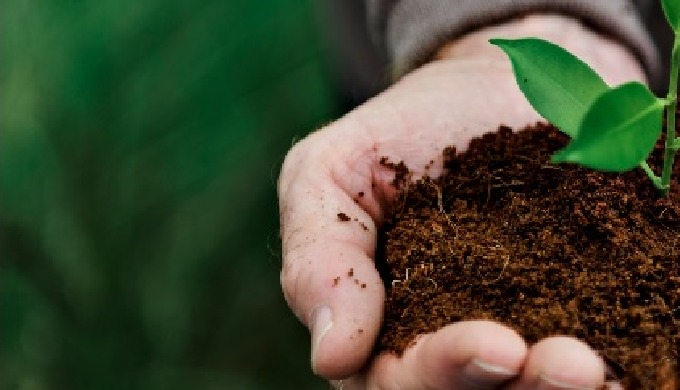 FlyNSPIRE proporciona sistemas modulares de cultivo de insectos completamente integrados, escalables...