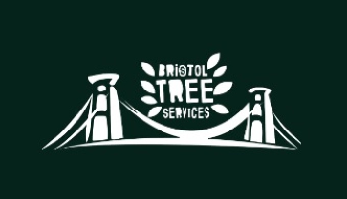 We deliver exceptional tree services to both domestic and commercial customers across Bristol. We’re...