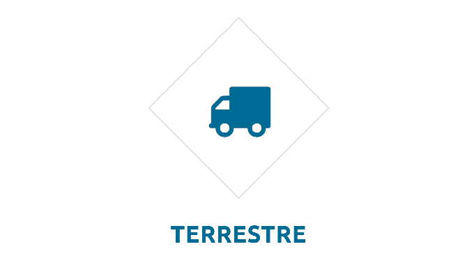 Servicios inmediatos cerretera o terrestre con gestión de aduanas completa....
