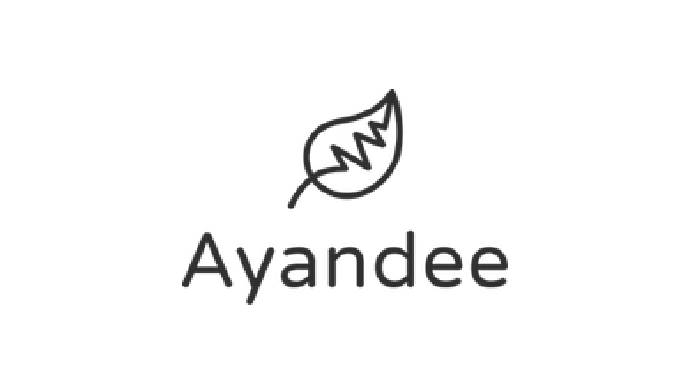 Ayandee, derived from the ancient Persian word meaning the future, epitomizes our mission to catalyz...