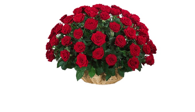 Roses in a basket are mesmerizing, and our florists know how to use this to their advantage. Our spe...