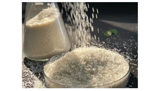 Rumen-protected Choline Chloride 25% Choline plays a crucial regulatory role in fat metabolism durin...