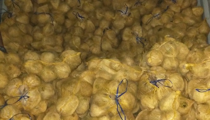 We are a supplier from Vietnam. We specialize in providing coconut products such as Semi Husked Coco...