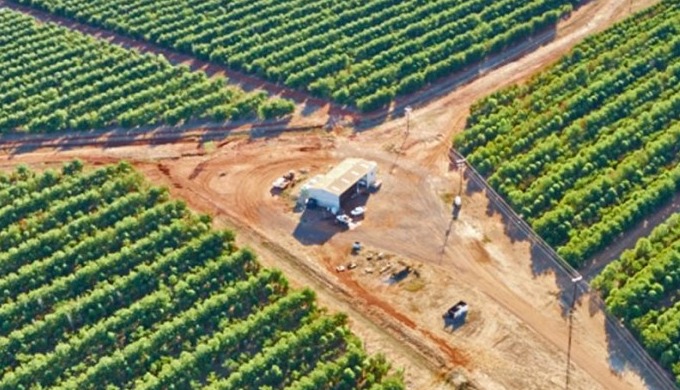 Welcome to Nature Valley, it’s a 250 Acres of Agroforestry Farmland (First of it's kind Model Projec...