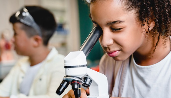 Edugraff provides online tutoring for science in Australia. Here we have online science classes for ...
