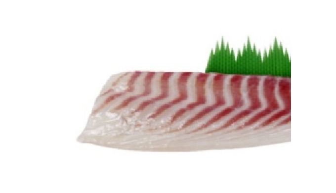 sea bream fillets