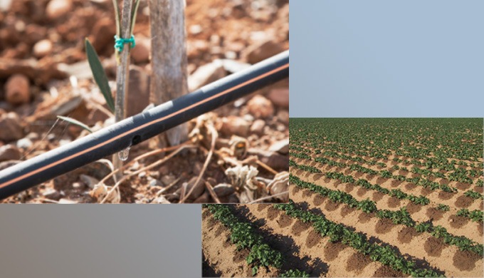 L 'irrigation de précision alimente la plante, pas le sol. Ce n’est pas une mince affaire. Parce que...