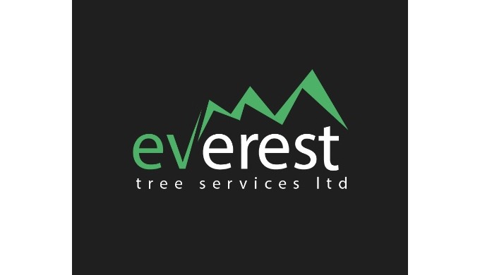Everest Tree Services gives property owners one less thing to worry about, providing professional tr...