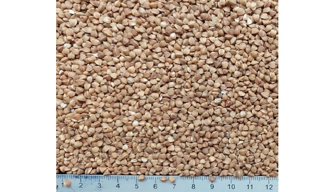 Крупа гречневая ядрица