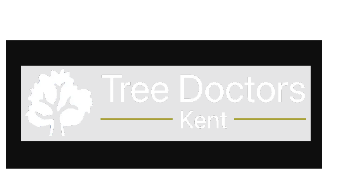 We at Tree Doctors are here to help you with all your tree care needs. We are a family-run company i...