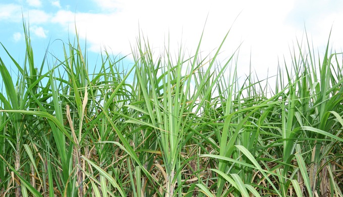 Our eco-friendly biodegradable labels are ideal for businesses or individuals looking for labels tha...