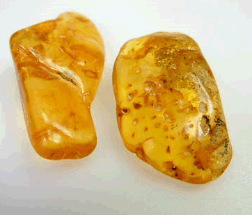 Minéral : L'ambre de la mer baltique