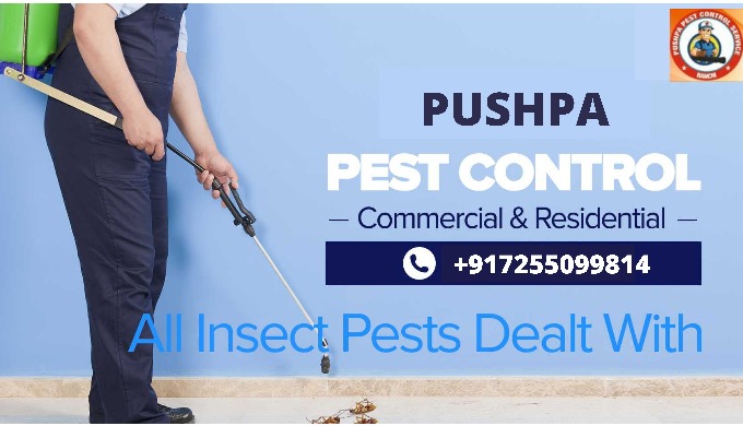 Pushpa Pest Control is leading pest control in Ranchi that offers pest management services to contro...