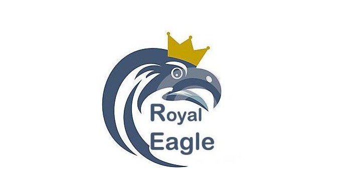 Royal Eagle Manpower Solutions Porivde Manpower For Short Term & long Term Basis.