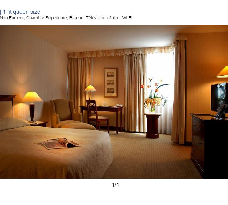 Offre à 1 lit queen size chez Evergreen Laurel Hotel, Levallois-Perret