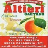 ARANCE A POLPA ROSSA QUALITÀ TAROCCO