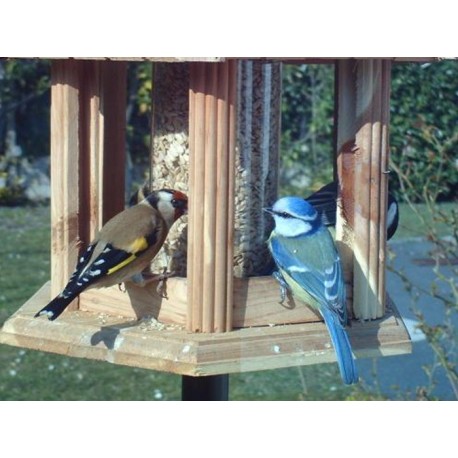 Graines de tournesol décortiquées pour oiseaux