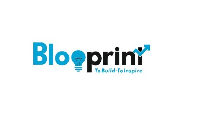 Blooprint is the first e-commerce consultancy firm in India with the idea to grow brands and sellers...