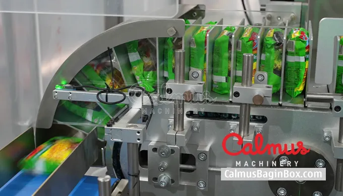 Flow Wrapper and Case Packer for Packaging Ramen Noodle Packets