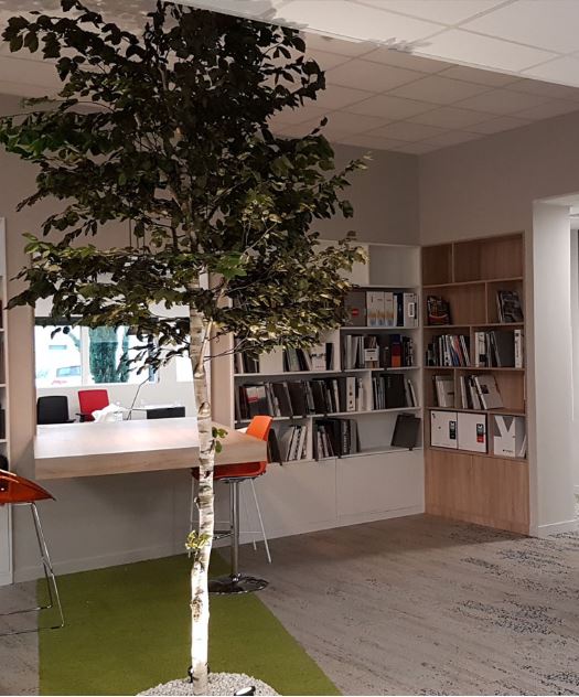 Arbres sur mesure GREEN PROSPECT