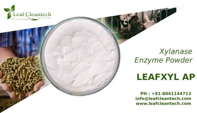 LEAFXYL AP is a Xylanase enzyme derived from Trichoderma sp. It has a high Xylanase activity and is ...