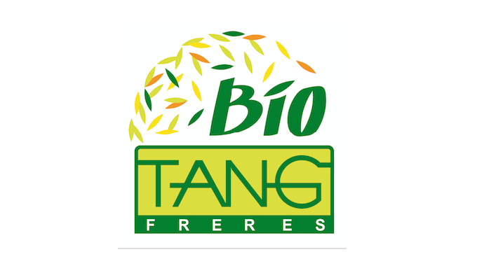 Création identité visuelle