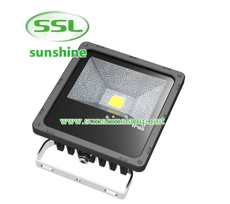 Die-casting aluminum housingAC85~265V input optionsOptical grade diffused lensGraduated angle scaleB...