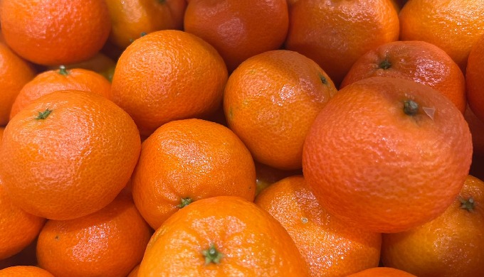 Dive into a burst of citrusy delight with Amaltheia Yada! 🍊🍋 Our citrus selection, including vibra...