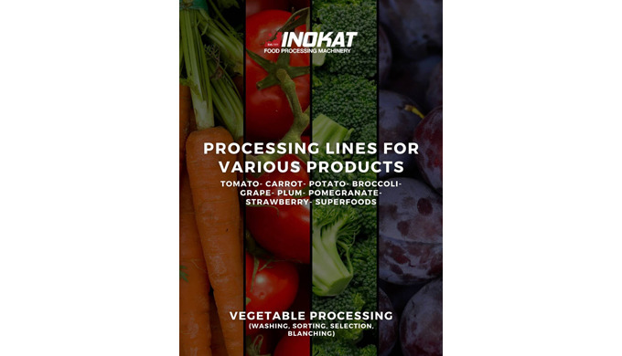 Fruit and vegetable canning plan